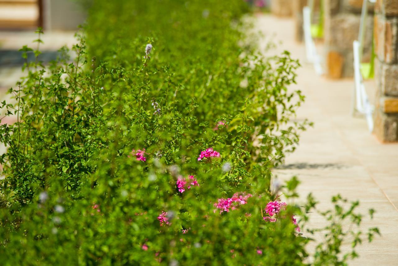 Olive Land Villas Limenária Eksteriør bilde